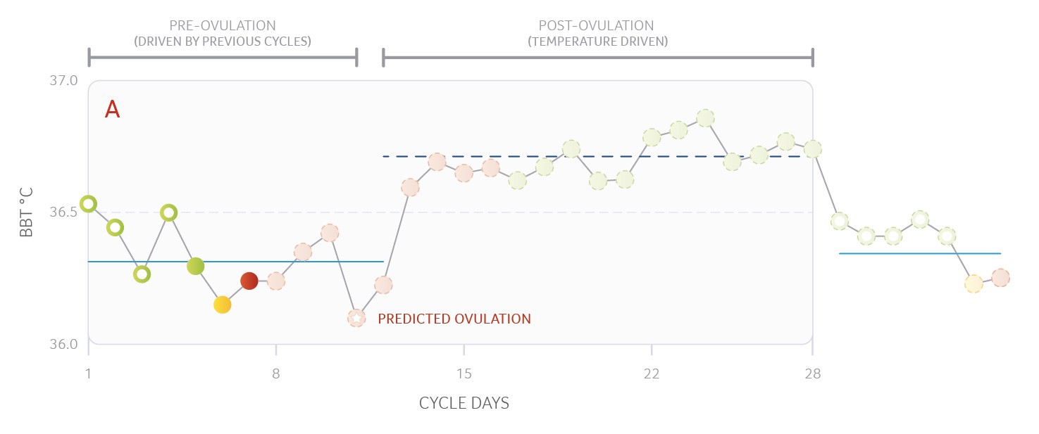 Ovulation Prediction A