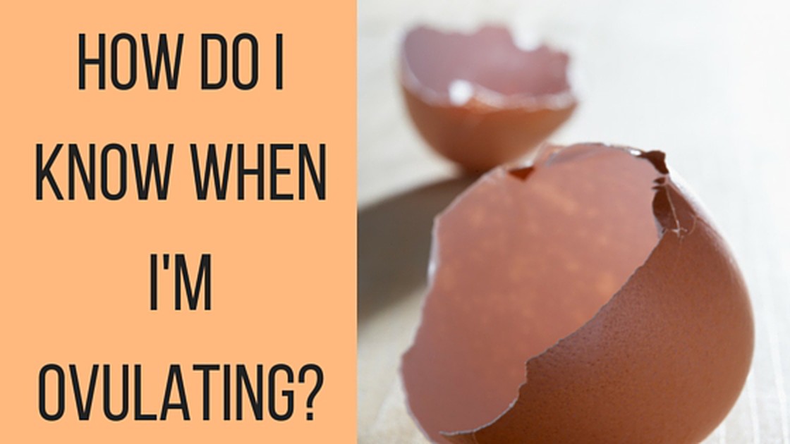 How do you know when you are ovulating?